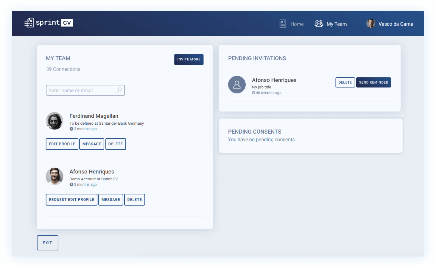 Sprintcv IT Recruiter My Team